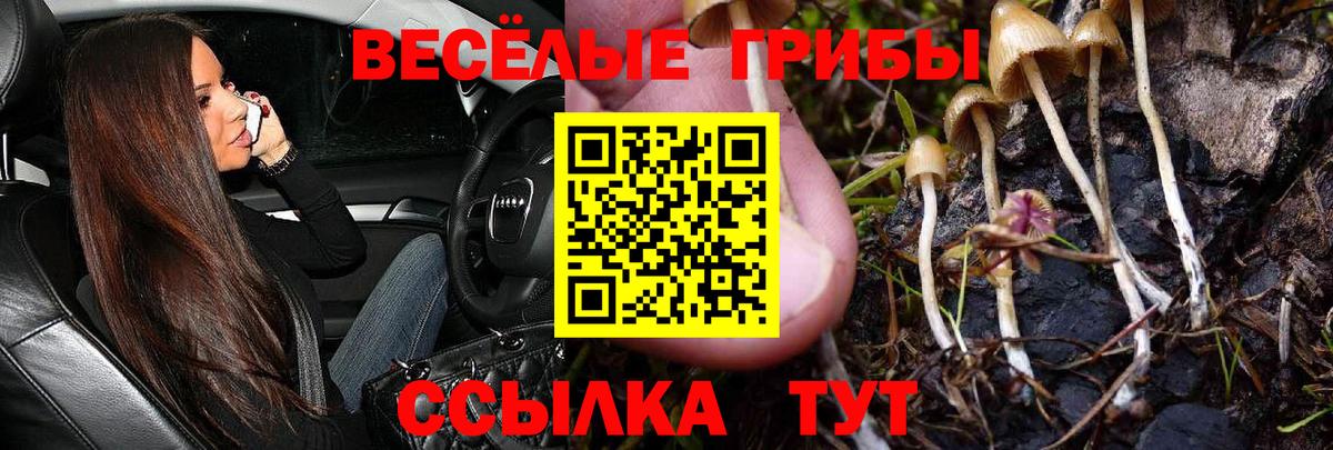 Галлюциногенные грибы Magic Shrooms Старая Купавна